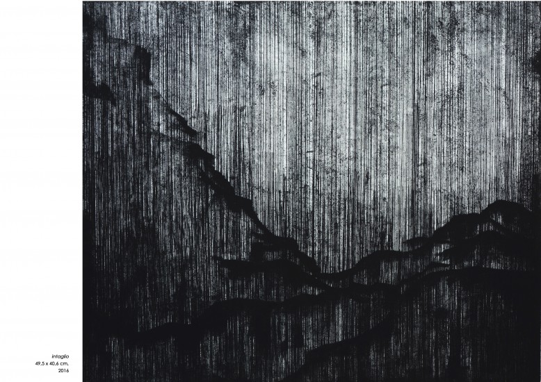 bez tytułu |intaglio | 49,5x40,6cm
